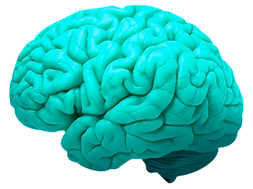 CUSTOMIZED<br> SOLUTIONS